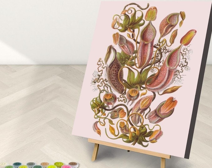 Ernest Haeckel: Tropical Pitcher Plants Paint by Number Kit (Framed Option)