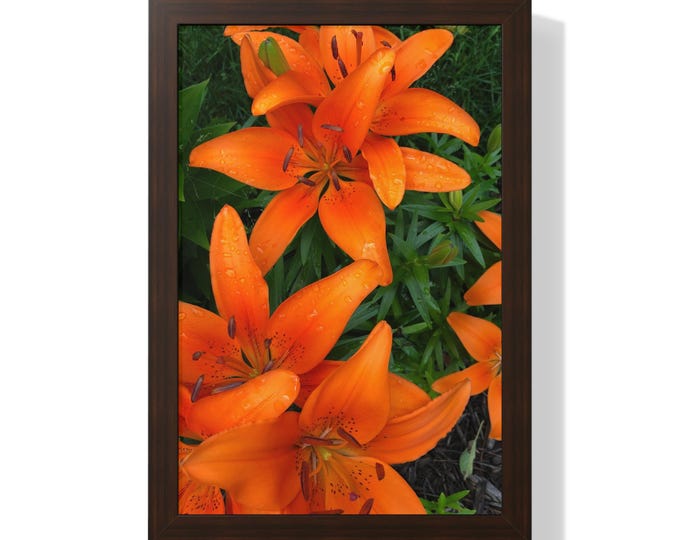 Vibrant Lily Photo Wall Art - Museum Quality Print for Nature Lover Decor, Colorful Room Decoration, Giclée Print with Frame Options