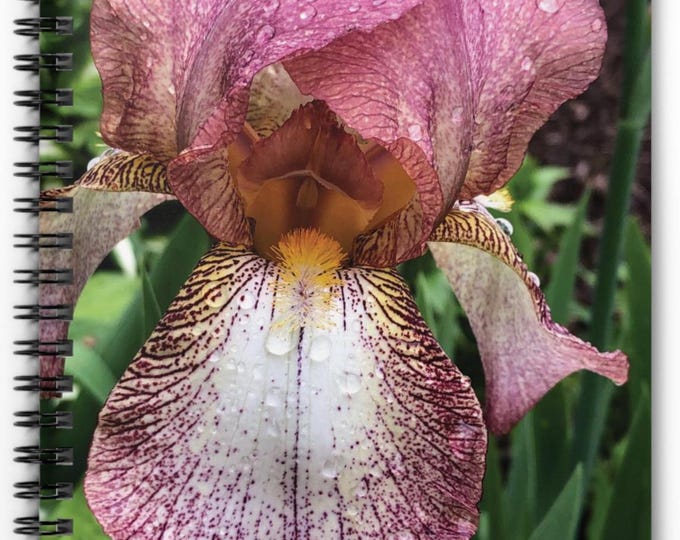 Beautiful Pink Iris Photo, Spiral Notebook - Ruled Line, Photo Notebook, Flower Notebook, Flower Design Notebook