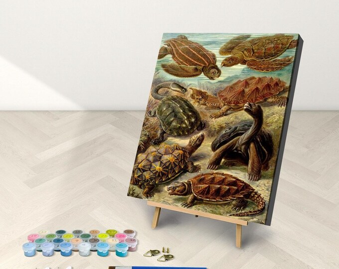 Turtle Paint by Numbers Kit: Haeckel Chelonia, Framed or Frameless Canvas Art