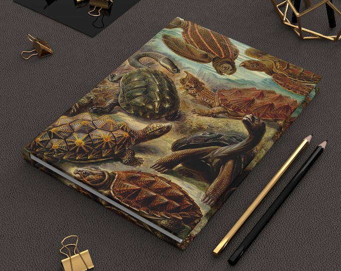 Hardcover Journal, Turtles By Ernest Haeckel, Antique Picture Design, Notebook, Sketchbook, Planner, Diary, Gift for Marine Biologist