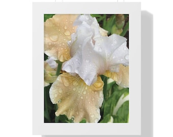 Elegant Yellow and White Iris Framed Wall Art for Home Decor and Gift-Giving