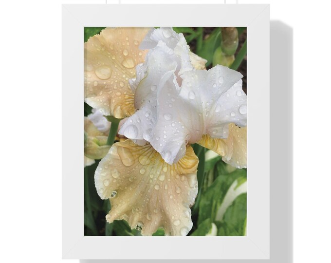 Elegant Yellow and White Iris Framed Wall Art for Home Decor and Gift-Giving