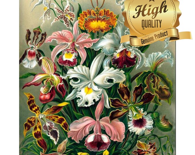 Puzzle, Orchidae by Ernest Haeckel, 500 Pieces, 1000 Pieces, Unique Jigsaw, Family, Adults, Oak Wood Puzzle, Vintage Art Puzzle, Flowers
