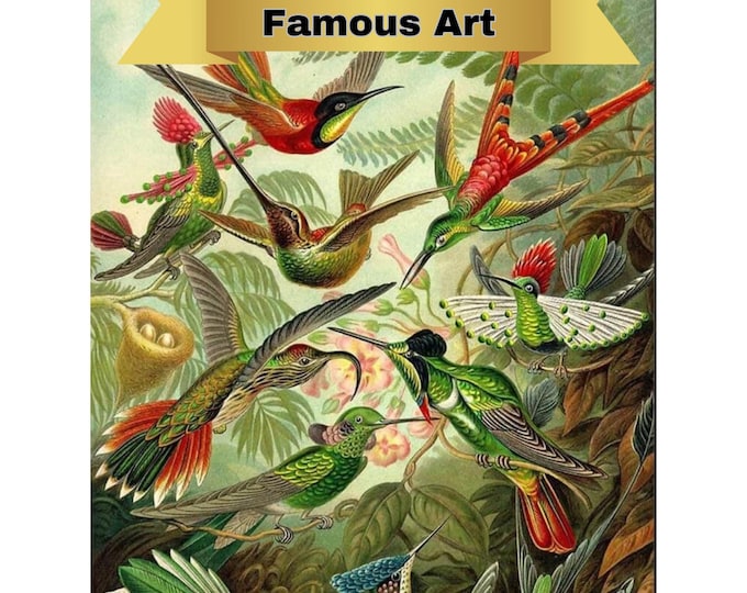 Paint by Number, Ernest Haeckel, Framed Paint by Numbers Kit for Adults with Stand, Painting by Number, Hummingbirds, Includes Everything!