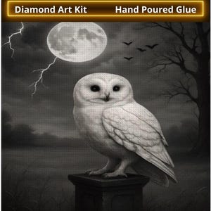Dark Academia Owl Diamond Painting Kit: DIY Home Decor Art (12x16/16x20 No Frame
