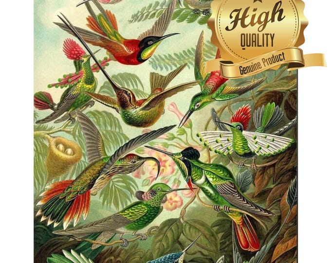 Puzzle, Trochilidae (Hummingbirds) by Haeckel, 500 Pieces, 1000 Pieces, Unique Jigsaw, Family, Adults, Oak Wood Puzzle, Vintage Art Puzzle