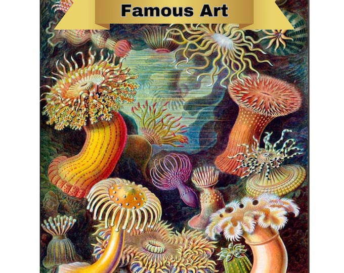 Paint by Number, Ernest Haeckel, Framed Paint by Numbers Kit for Adults with Stand, Painting, Sea Creatures by Haeckel, Includes Everything!