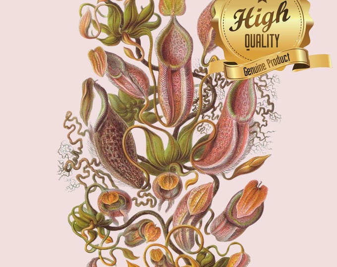 Unique Vintage Art Puzzle of Nepenthes, Tropical Pitchers Plants by Haeckel - 500/1000 Pieces - Family Oak Wood Jigsaw - Relaxation & Decor