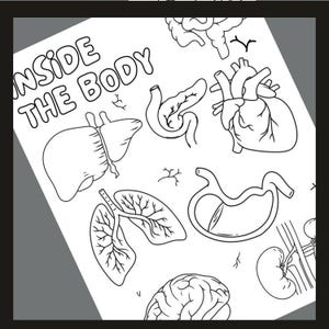 Anatomy Worksheets & Coloring Pages, Science - 11 Printable Pages, Organs Coloring Book, Identifying Body Organs, Educational, Digital