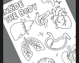 Anatomy Worksheets & Coloring Pages, Science - 11 Printable Pages, Organs Coloring Book, Identifying Body Organs, Educational, Digital