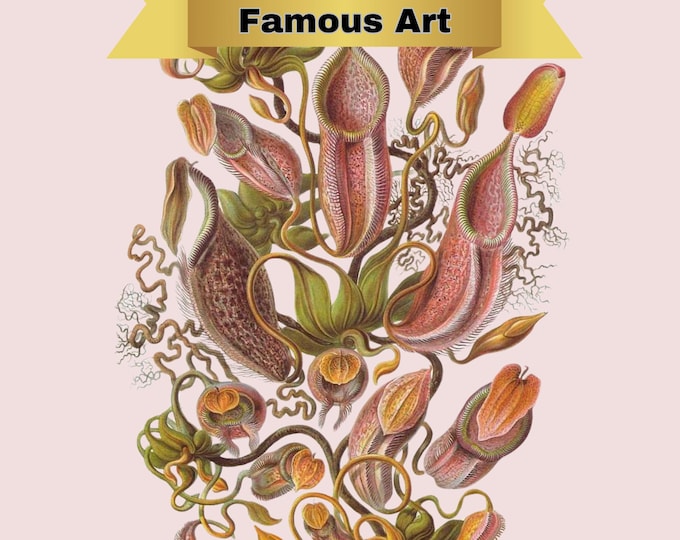 Paint by Number, Ernest Haeckel, Framed Paint by Numbers Kit for Adults with Stand, Painting, Nepenthes, Tropical Pitchers Plants by Haeckel