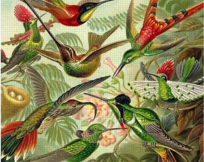Vintage Hummingbirds Diamond Painting Kit with Complete Tool Set, DIY Craft for Home Decor, Ernest Haeckel Art Design, Diamond Art, Craft