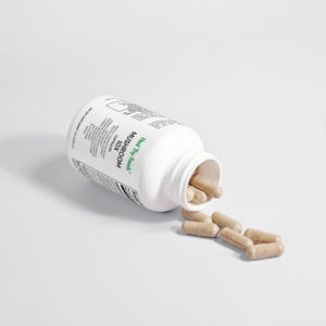 Mushroom Complex 10 X Dietary Supplement Food Supplement