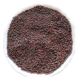 Organic Black Mustard Seeds: Indian Spice - Sarson Seeds 1000g