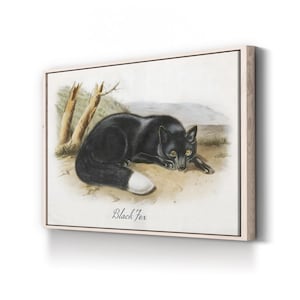 Vintage Black Fox Illustration: Framed Wildlife Canvas Wall Art