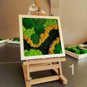 Preserved Moss Art – Unique Nature-Inspired Wall Decor – Handmade Green Moss Frame – Eco Friendly Gift for Plant Lovers & Home Aesthetics