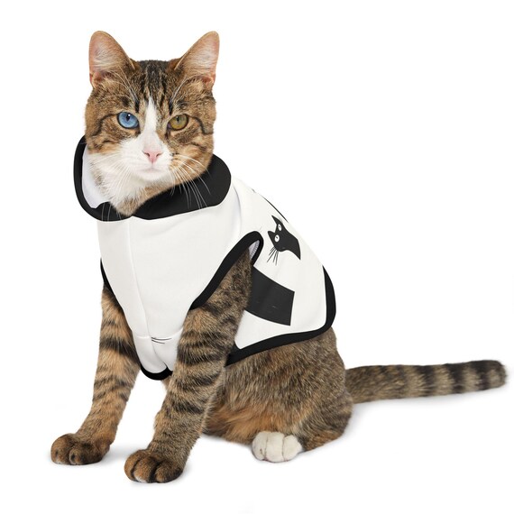 Cat Gatto Con Felpa Quadro Moderno Street Art Gatto Con Felpa E