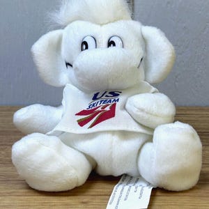May include: A white plush toy animal with large ears and a tuft of hair, wearing a shirt with "US SKI TEAM" and a red and white logo. Two small, round tokens are at the bottom. The toy is on a wooden surface.