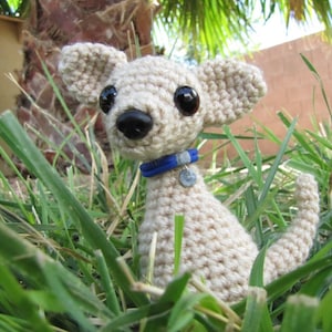May include: A crocheted beige dog toy with blue collar and a silver tag. The toy is sitting in a patch of green grass.