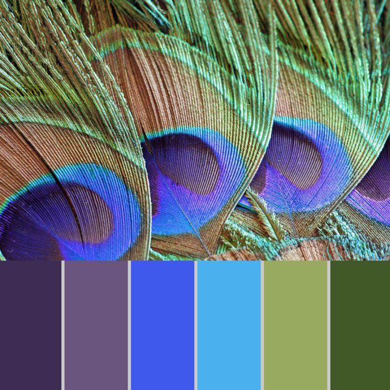 Download Glitter Paper Pack of Peacock FeathersColors of Life | Etsy