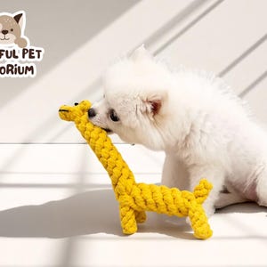Durable Dog Rope Toy | Small Dog Chew Ball | Puppy Teeth Cleaning Toy | Knotted Pet Play Toy | Safe Dog Entertainment Accessory