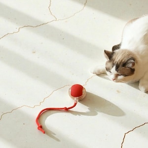 May include: A white and brown cat lies on a white surface, gazing at a red cat toy. The toy has a clear plastic base and a red, rounded top, connected to a red string. The scene is lit by natural light.