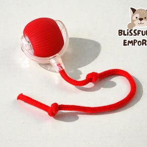 Interactive Rolling Ball Cat Toy | Touch & Run, Adjustable Speed