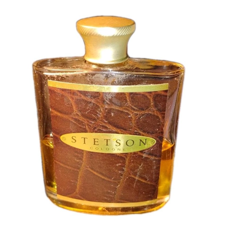 Vntg Mens Stetson Köln 2,25 fl oz COTY NY Whisky Flachmann Style Snakeskin Front Bild 1