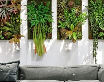 Vertical Preserved Moss Wall Art: Wooden Frame Green Decor