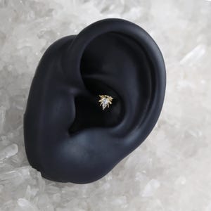 Puede incluir: Primer plano de un piercing de oreja dorado. El piercing presenta un peque&ntilde;o dise&ntilde;o ornamentado con una gema clara central y detalles dorados. El piercing est&aacute; colocado sobre una oreja negra, con un fondo blanco y transparente.