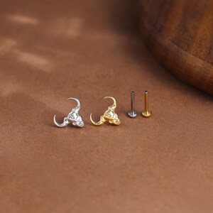 May include: A collection of small, decorative earrings. Two earrings feature a skull design, one in silver and the other in gold. Two additional posts are also visible, one silver and one gold, likely for the earrings.