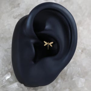 Pu&ograve; includere: Gioiello per il corpo a forma di libellula dorata con pietre trasparenti, indossato in un piercing al cartilagine su un modello di orecchio nero.