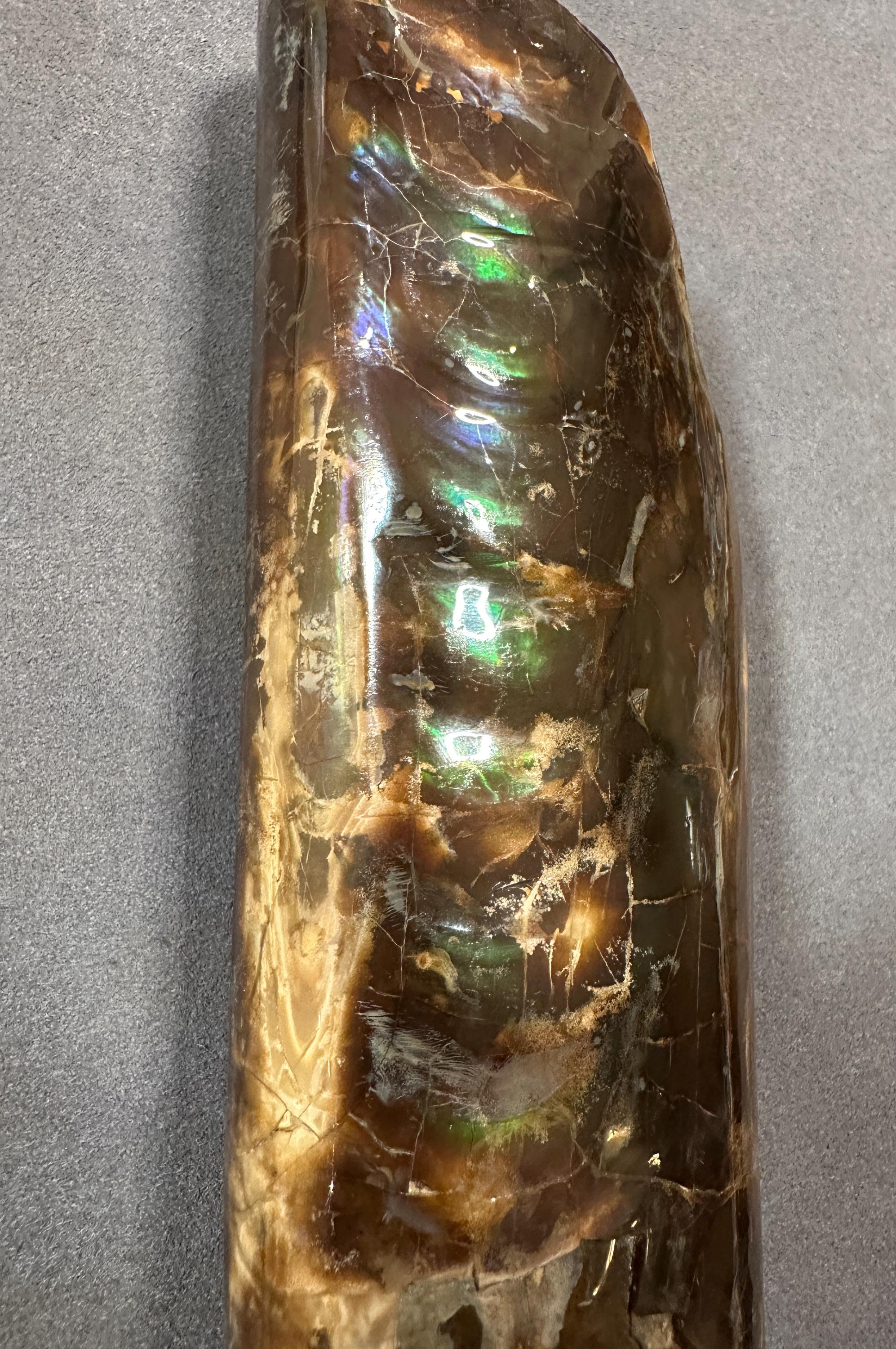 天然の虹色に輝くバキュライト化石、カナダ産アンモナイト宝石、ホーム 