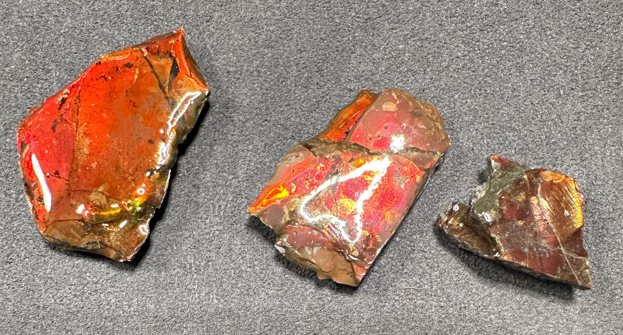 カナダ アンモライト 宝石標本 カナダ産アンモライト宝石標本：コレクター向けの希少な虹色の化石