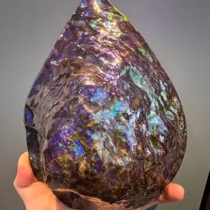 Natural Canadian Ammolite Fossil Specimen: Rainbow Purple Colour Iridescent Ammonite Home Decor Display Piece