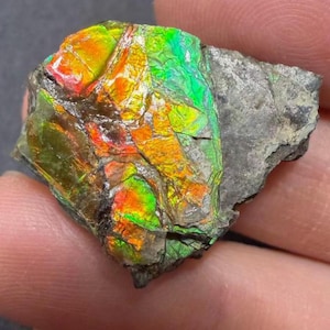 May include: A colourful ammolite gemstone fragment. The polished surface shows a spectrum of colours, including orange, yellow, green, and red, set against a dark grey matrix. The gemstone's play of colour is a result of light refracting through its layers.