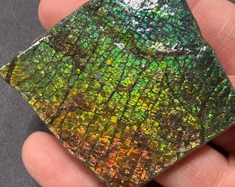 カナダ産アンモライト標本：宝石用虹色化石 - Etsy 日本