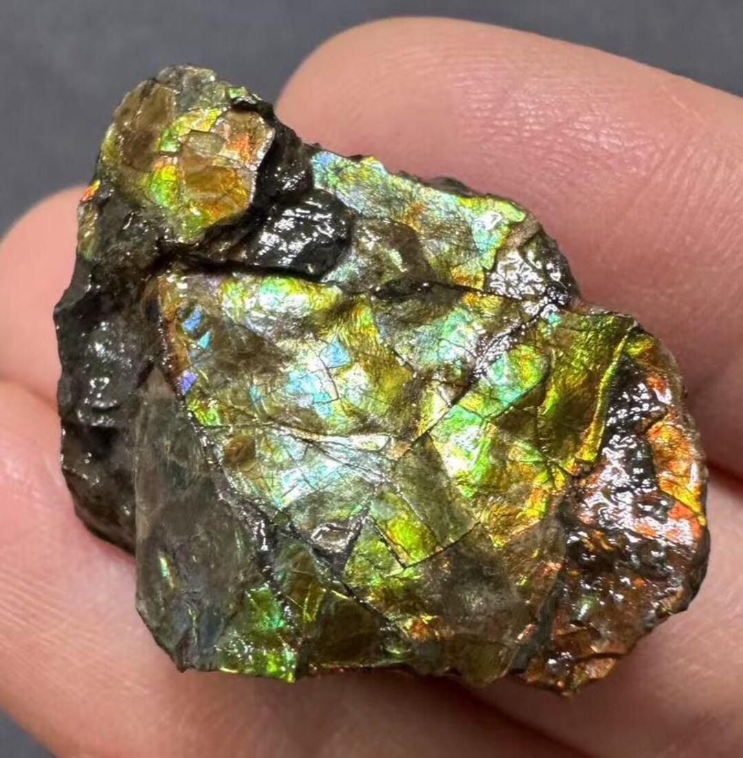 カナダ産アンモライト宝石：両面虹色化石ジュエリー - Etsy 日本
