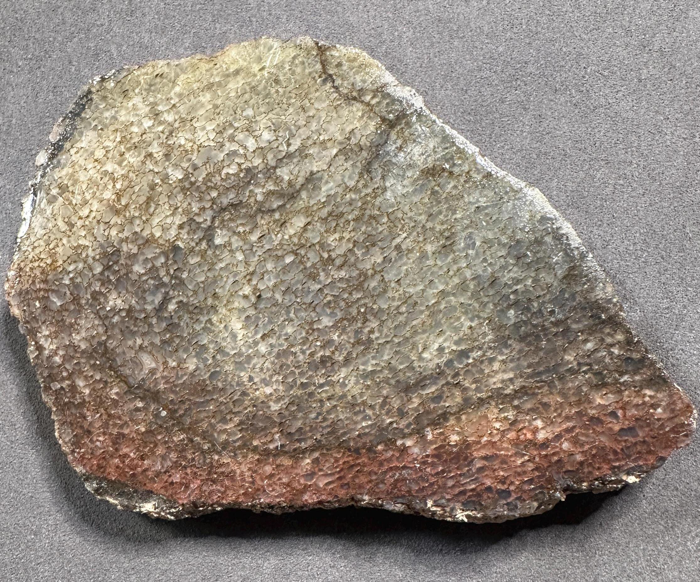 瑪瑙化恐竜骨板：ジュエリー製作のためのユタ州の宝石 - Etsy 日本