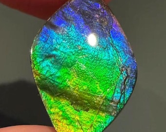 15ct Natural Canadian Ammolite Loose Gemstone for Jewelry Making