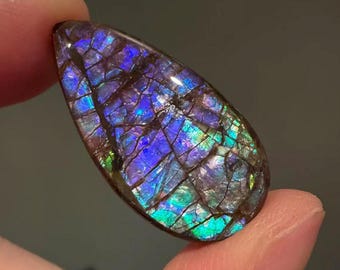 Canadian Ammolite Gemstone Blue-Violet Iridescent Colour For Jewelry Making (25CT)