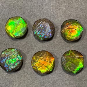 Natural Canadian Ammolite Gemstone - 20mm Round David Star Cut For Jewelry Making