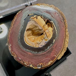 May include: A cross-section of a large opal with a dark brown, black, and purple outer layer and a light brown, yellow, and white inner layer.