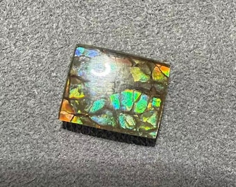 Peut inclure: Une pierre précieuse carrée et irisée avec un motif en mosaïque de teintes vertes, bleues et orangées. La pierre a une surface polie et est posée sur un fond gris. Les couleurs de la pierre changent avec la lumière.