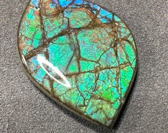 23ct Natural Canadian Ammolite Freeform Loose Gemstone for Pendant Making Blue & Green Pink Hues