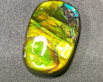 23CT Canadian Ammolite Loose Gemstone Rainbow Colour Gold Hues For Jewelry Making