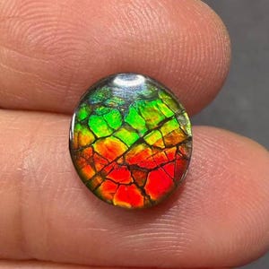 May include: An oval-shaped gemstone with a vibrant display of colors. The gem features a mosaic-like pattern with sections of red, green, and yellow hues. The polished surface reflects light, highlighting the gemstone's unique internal structure.