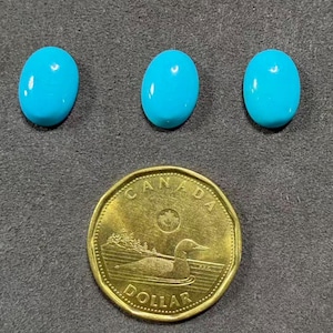 Pode incluir: Três pedras preciosas ovais de turquesa polida são exibidas ao lado de uma moeda de dólar canadense. As pedras preciosas são de uma cor azul vibrante. A moeda dourada apresenta um mergulhão na água. As pedras medem cerca de 1 cm de comprimento.