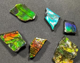 カナダ産アンモライト標本：ジュエリー用の希少な有機宝石化石 - Etsy 日本